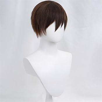 Amazon.co.jp: 藤岡ハルヒ ウィッグ かつら コスプレウィッグ 髪